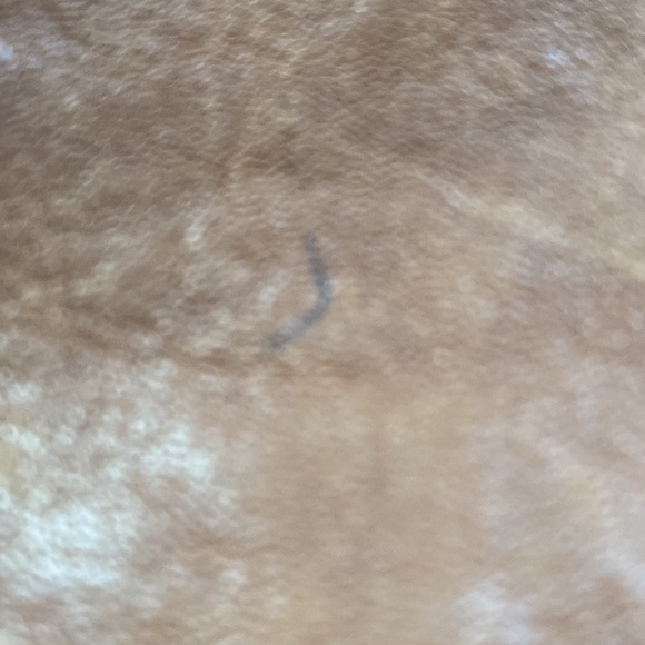 Micheal kors bag - Picture 4 of 4